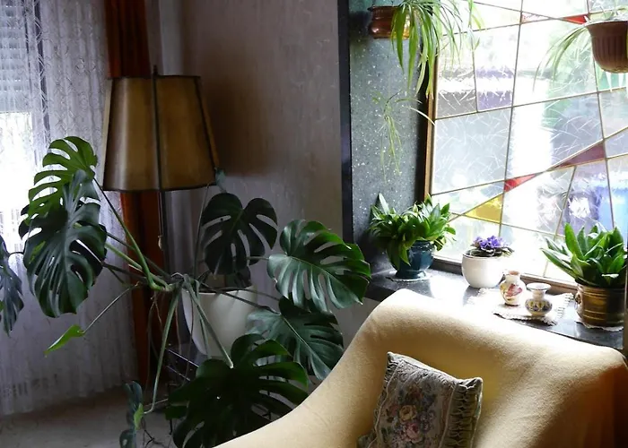 Charming, Bright Family With Conservatory * 뉘른베르크