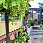 Charming, Bright Family With Conservatory Nuremberga