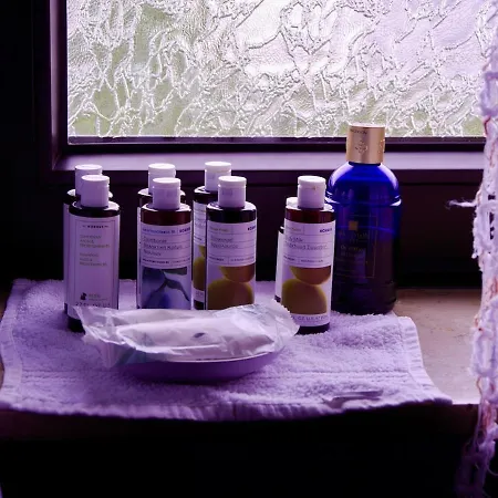 Charming, Bright Family With Conservatory Dom wakacyjny *