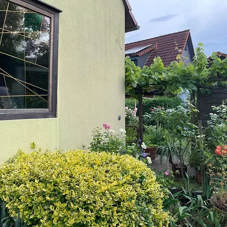 Charming, Bright Family With Conservatory *