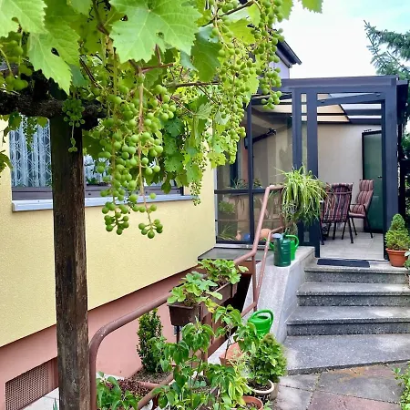 Charming, Bright Family With Conservatory Norymberga