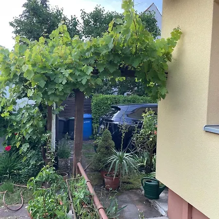 Charming, Bright Family With Conservatory Norymberga