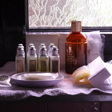 Charming, Bright Family With Conservatory * Norymberga