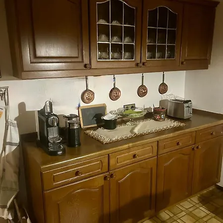 Charming, Bright Family With Conservatory * Norymberga