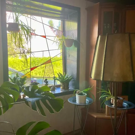 Charming, Bright Family With Conservatory