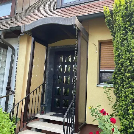 Charming, Bright Family With Conservatory Norymberga