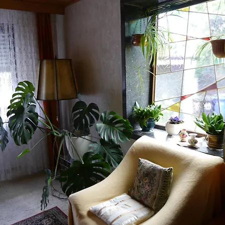 Charming, Bright Family With Conservatory * Norymberga