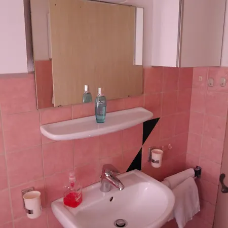 Charming, Bright Family With Conservatory Norymberga