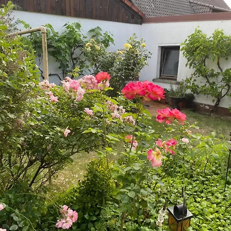 Spacious 3br House With 2 Parking Spaces & Garden Casa de Férias *
