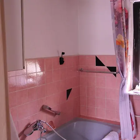 Charming, Bright Family With Conservatory Norymberga