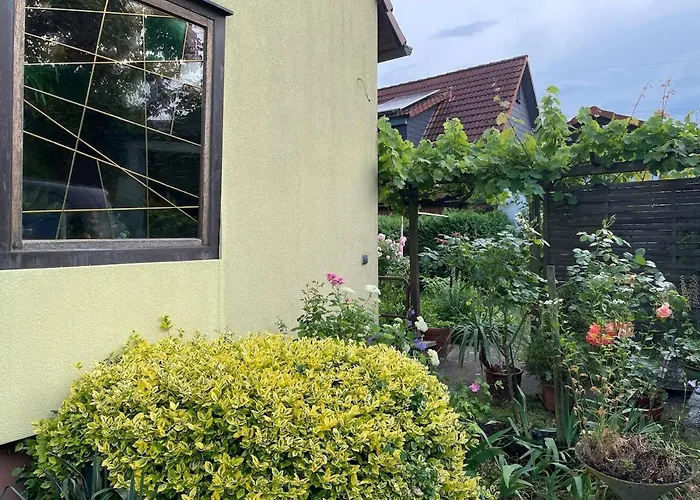 Charming, Bright Family With Conservatory *