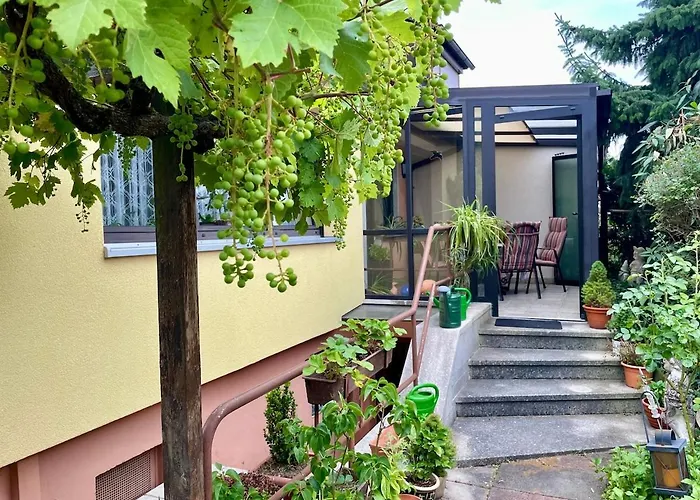 Charming, Bright Family With Conservatory 纽伦堡