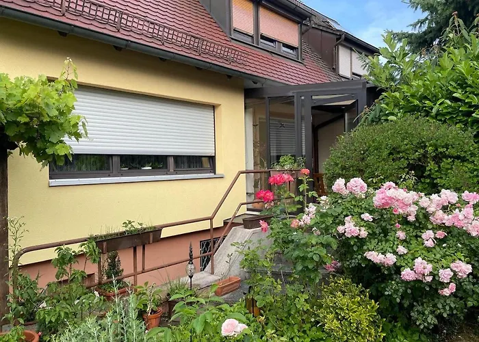 Charming, Bright Family With Conservatory 度假居