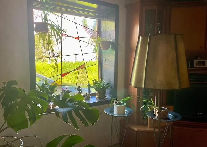 Charming, Bright Family With Conservatory