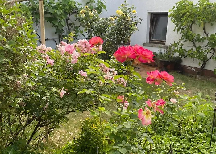 Charming, Bright Family With Conservatory 度假居 *